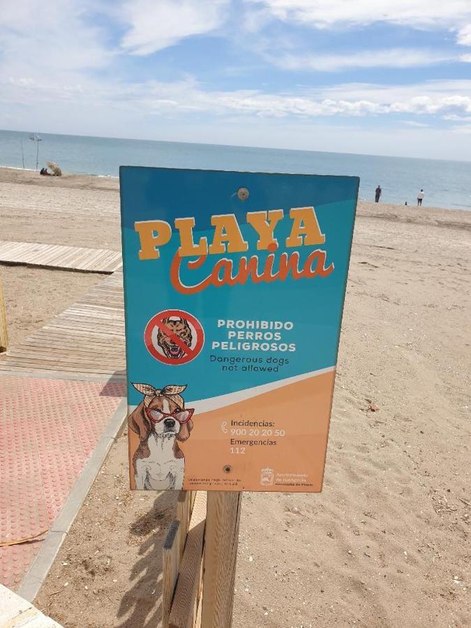 Bravo 24 Daire Fuengirola Dış mekan fotoğraf