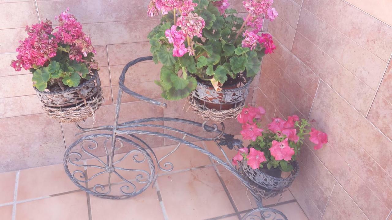 Bravo 24 Daire Fuengirola Dış mekan fotoğraf